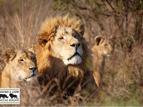 Bothongo Rhino & Lion Nature Reserve