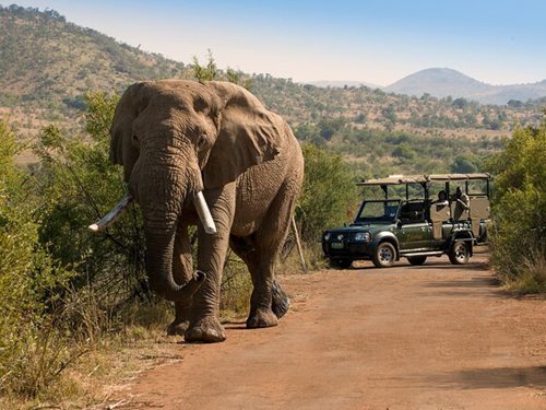 Pilanesberg National Park